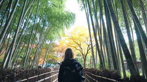 a young woman strolls through the mystical arashiyama bamboo forest in kyoto, japan.