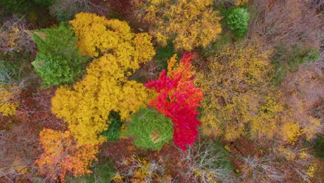 mont-tremblant birds eye view in laurentian mountains, quebec, canada