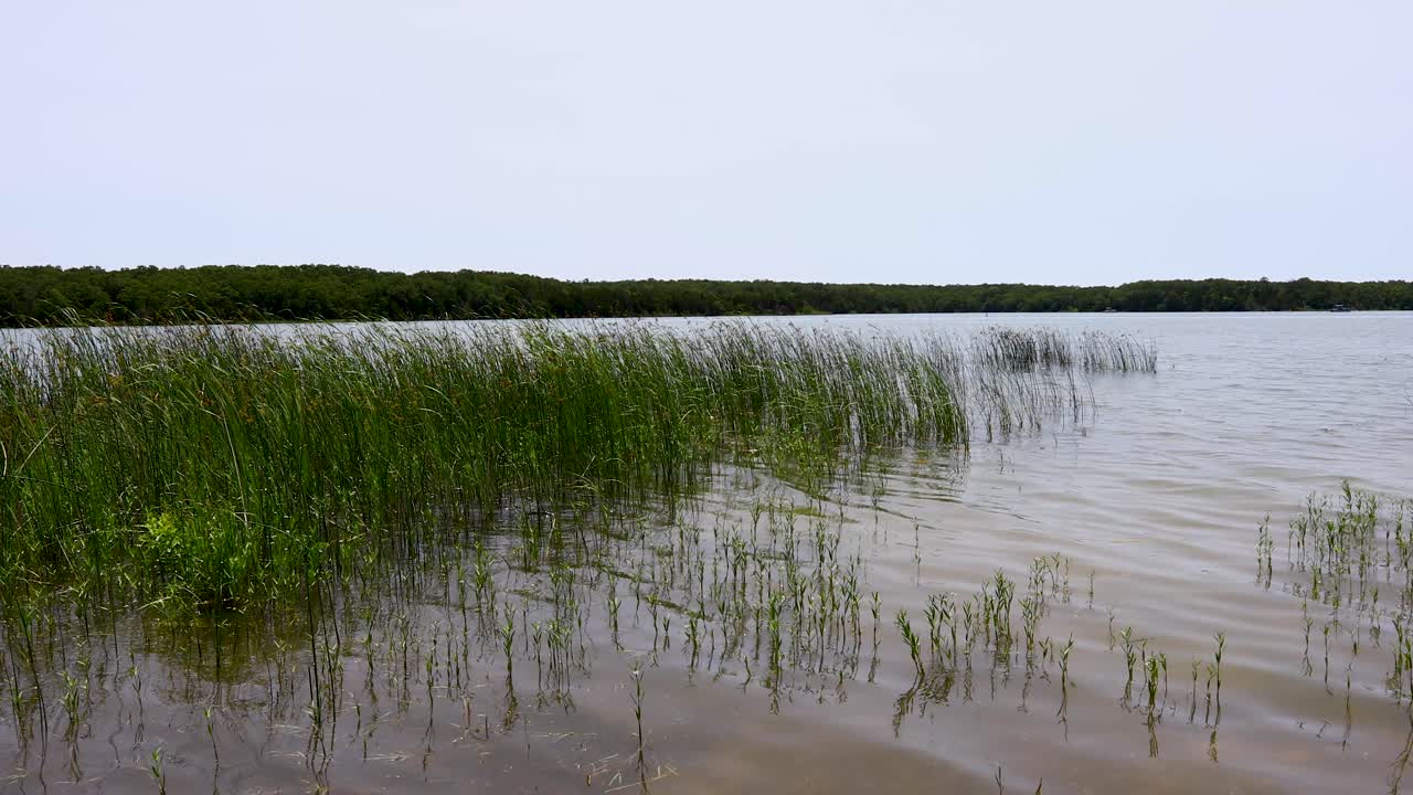 This is a static video of Lake Murray shot from inside the Lake Murray State Park in Oklahoma. Aquatic plants are in the foreground