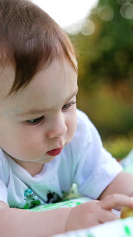 lovely caucasian child looking attentively at the apple. nice cute boy lies on the grass in the garden in summer. close up. vertical video