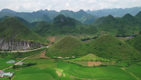 aerial view of quan ba twin mountains or fairy blossom and rice fields, vietnam