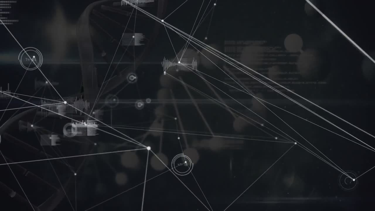Animation of network of connections over data processing