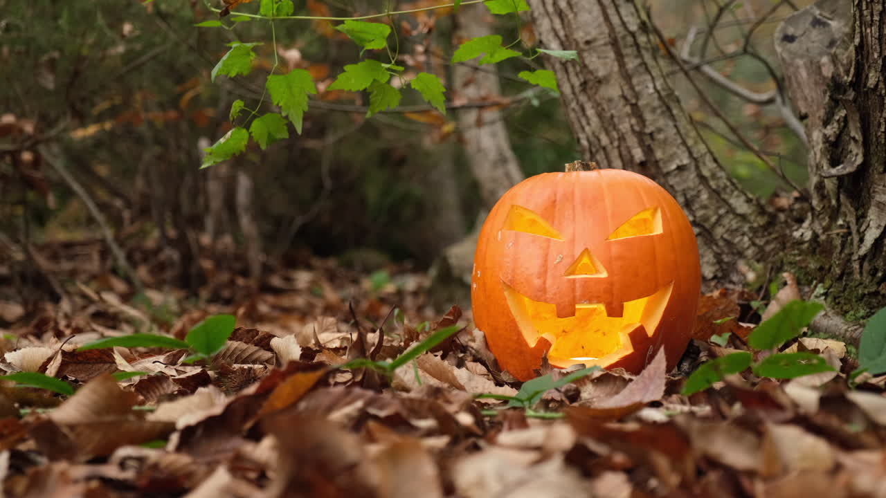 símbolo de halloween jack o linterna calabaza brillando en el bosque de otoño