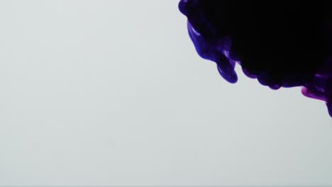 blue and red ink mixing in water on a white background