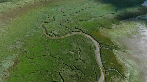 Satellitenähnliche-Ansicht-Der-Glatten-Ken-van-Voorne-Auen,-Gezeitenlandschaft,-Flussweg,-Luftaufnahme