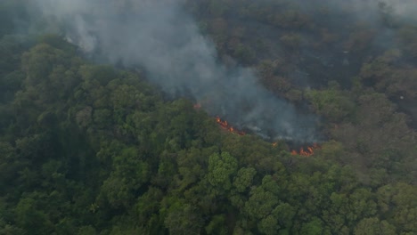 Drohnenschuss-Von-Rauch-Aus-Einem-Waldbrand-Auf-Einer-Insel,-Bei-Dem-Die-Flammen-Sichtbar-Sind