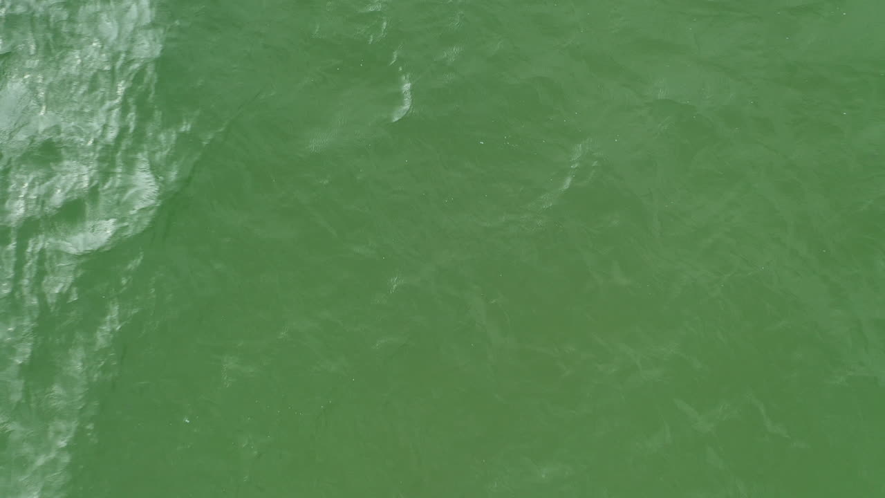 antena: vista superior de primer plano de las olas rompiendo en la superficie del mar verde