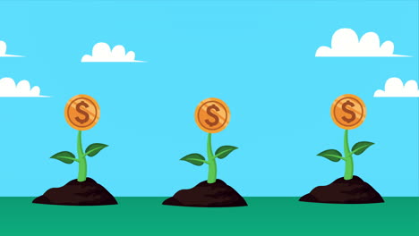 coins money dollars plant animation