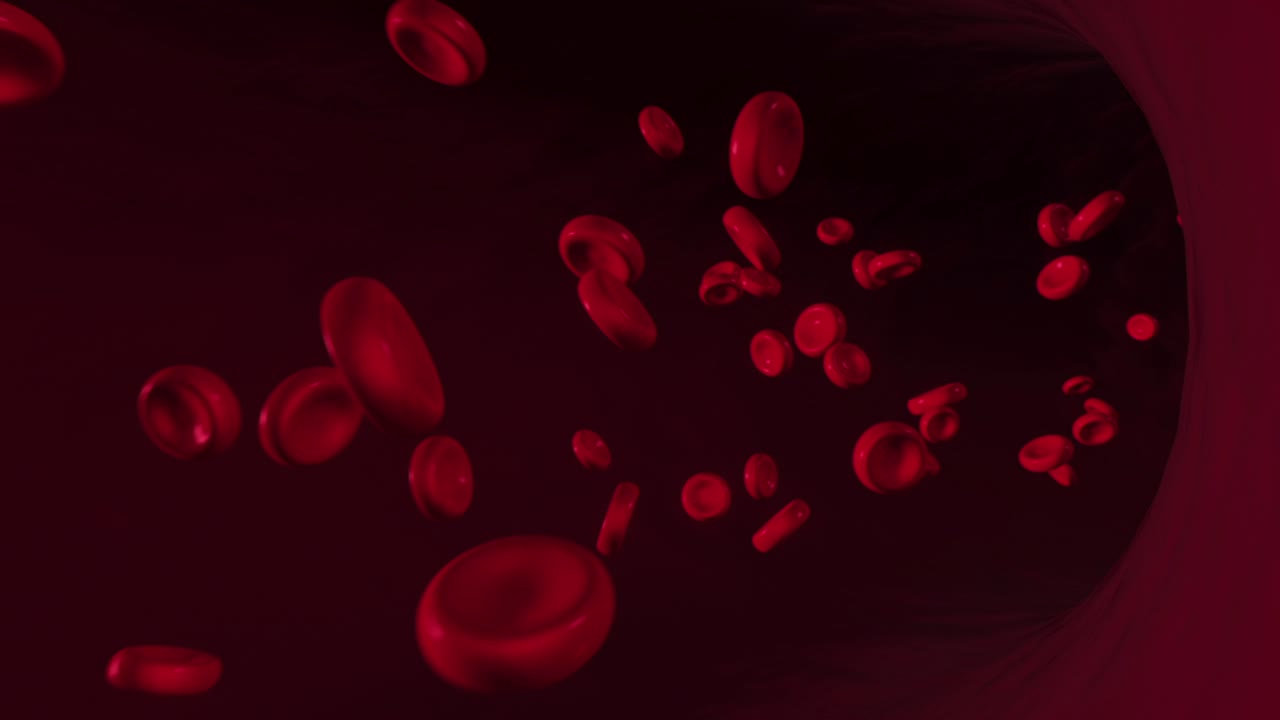 Red Blood Cells in a Vein