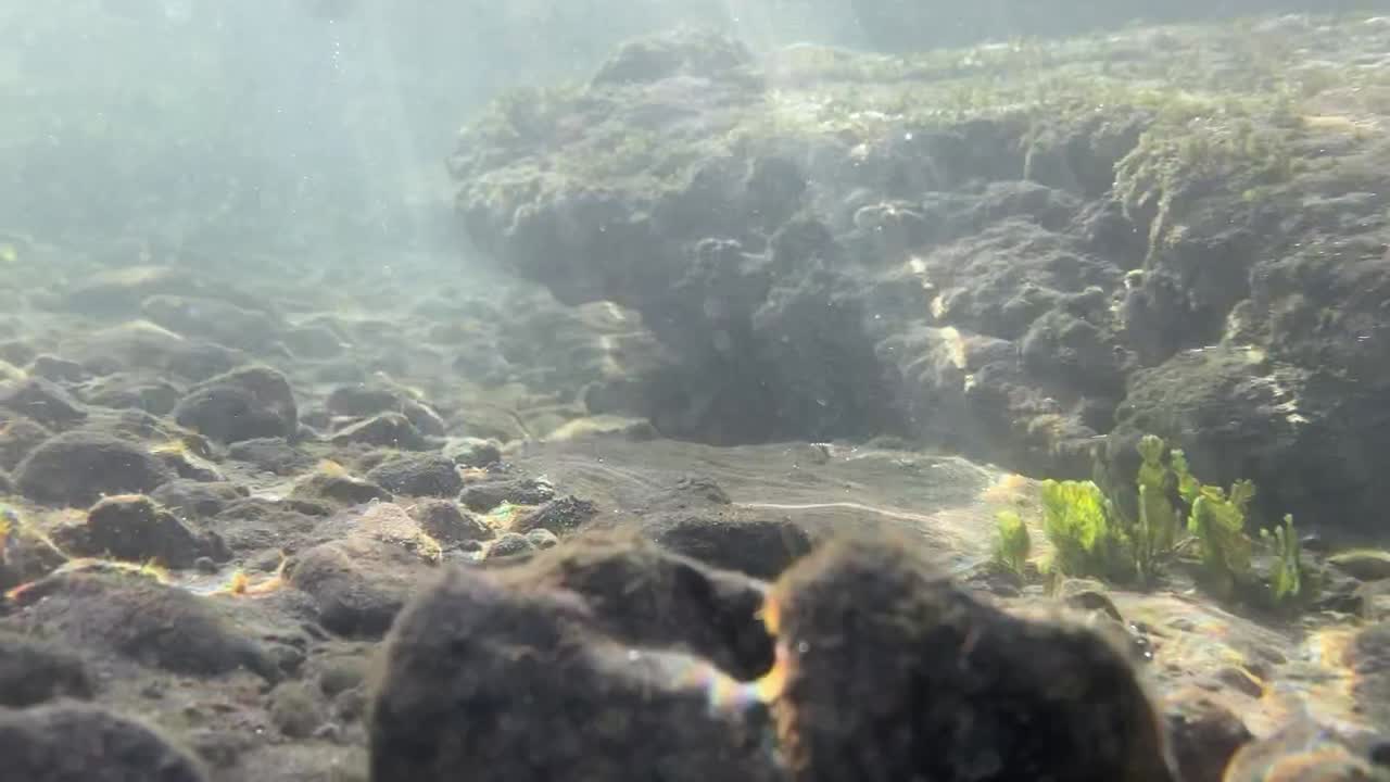 Diving in the pacific coast of Costa Ria in the province of Guanacaste nearby