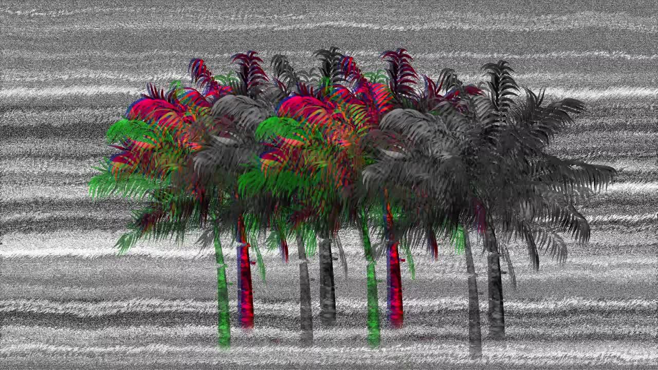 Palm trees and static