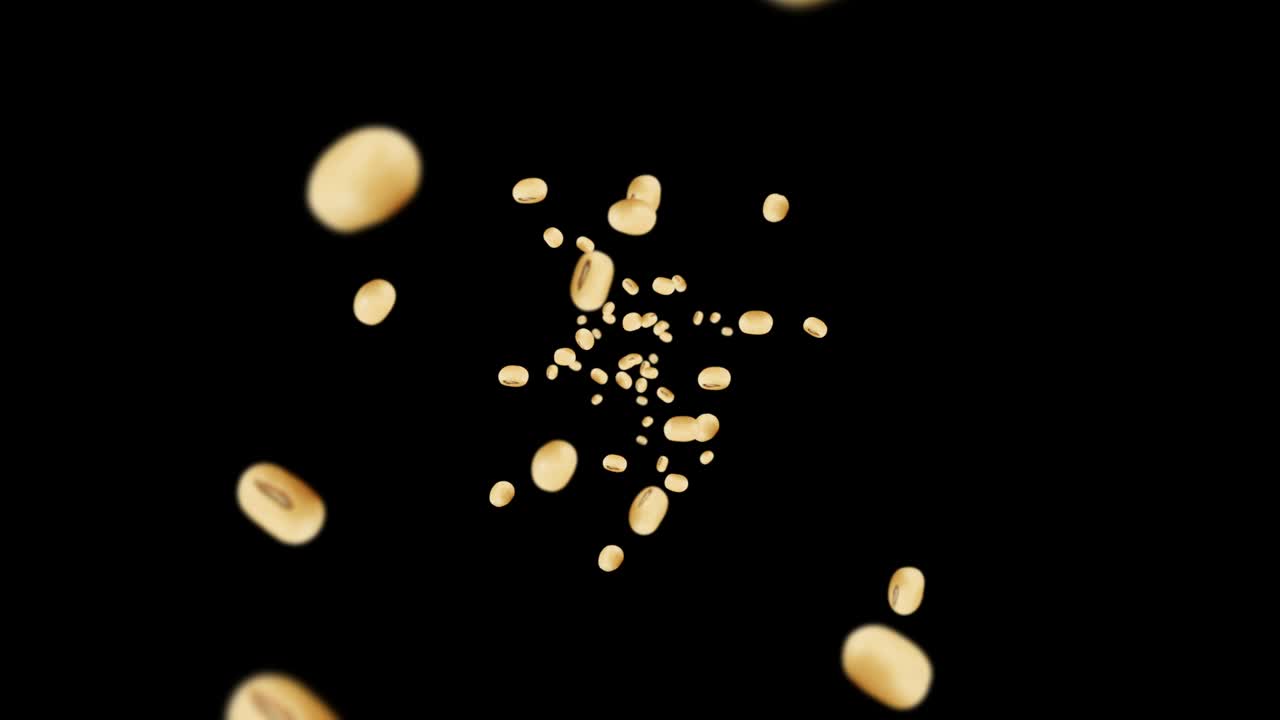 검은색 바탕에 많은 콩을 날아. 밝은 갈색 곡물. 콩과 콩. 건강한 음식. 회전하는 콩의 3d 루프 애니메이션.