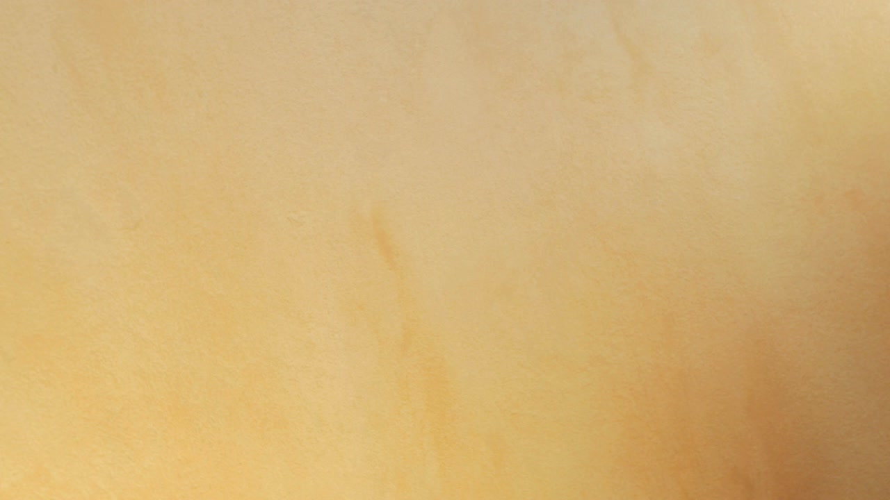 las manos femeninas ponen un plato de tomate cereza en la mesa