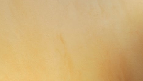 las manos femeninas ponen un plato de tomate cereza en la mesa