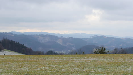 view of a field on which fresh snow is falling in slow motion