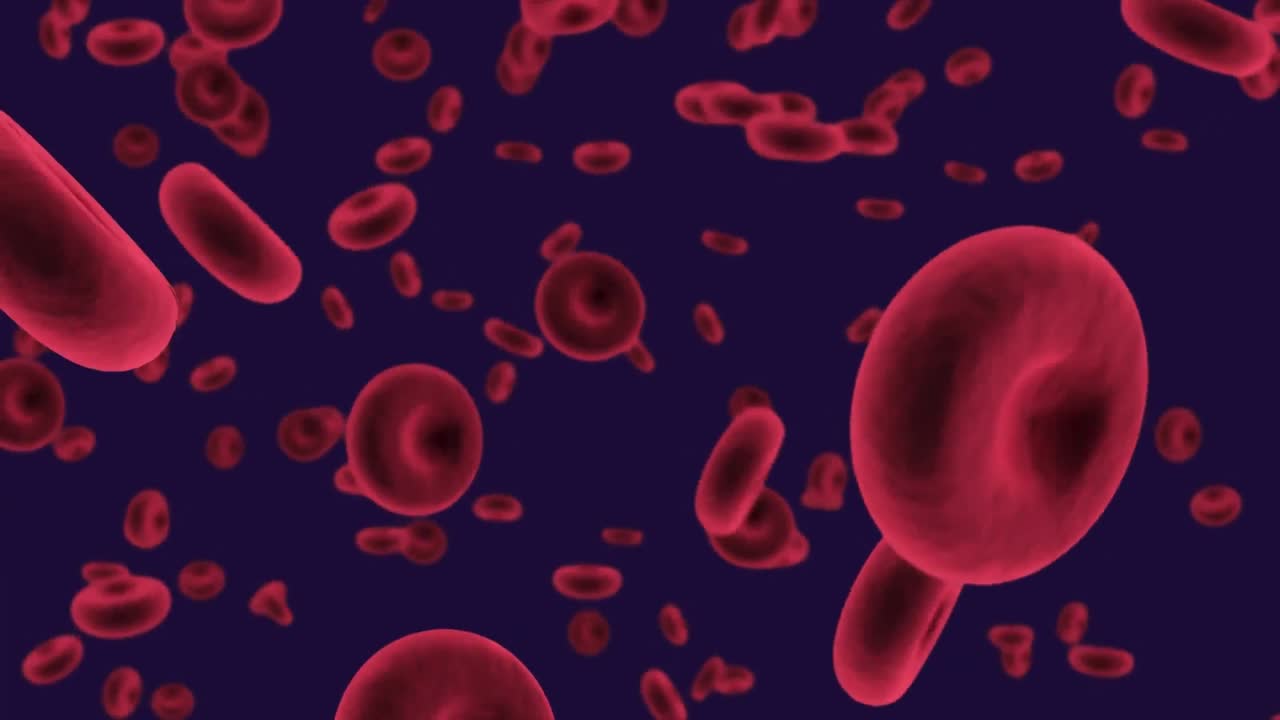 анимация кровеносных сосудов, плавающих на фоне копирования на синем фоне