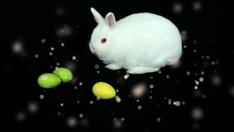 Animation-of-multiple-golden-particles-floating-over-white-Easter-bunny-and-Easter-eggs-