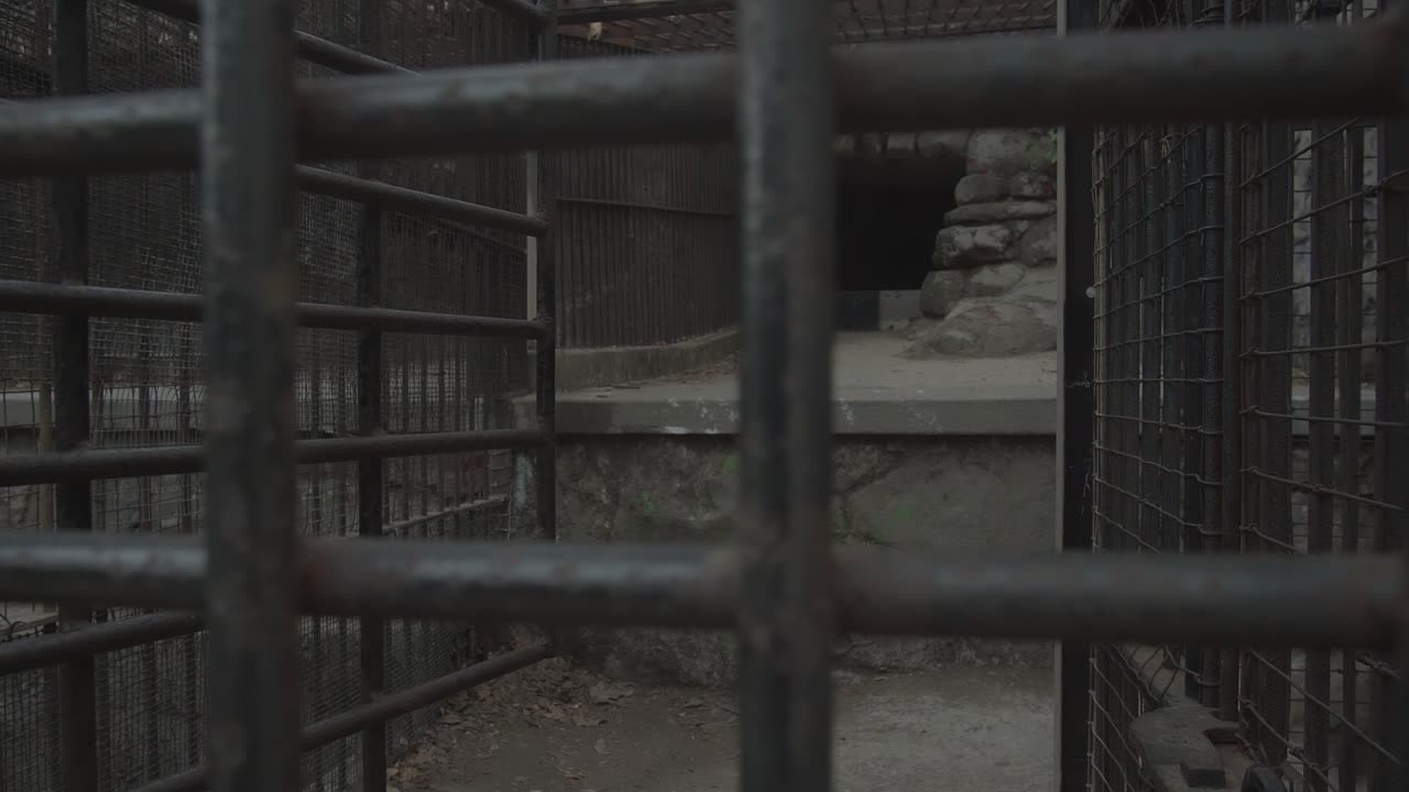 Deserted abandon animal enclosure at an abandoned zoo
