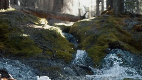 a small creek in kananaskis alberta canada