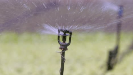 Landwirtschaftliche-Sprinkleranlage,-Die-Wasser-In-Alle-Richtungen-Versprüht