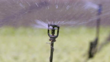 sistema de aspersión agrícola que rocía agua en todas las direcciones