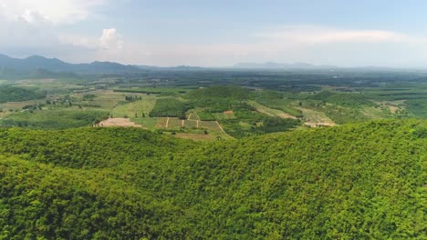 Pineapple-Plantations-or-Pineapple-Farm-and-a-Mountainview-in-Thailand-Shot-on-DJI-PT4