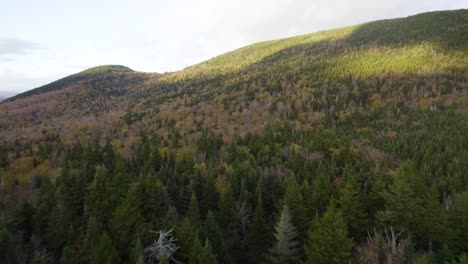 volando sobre las copas de los árboles del bosque de otoño hacia la cima de la colina en el parque nacional