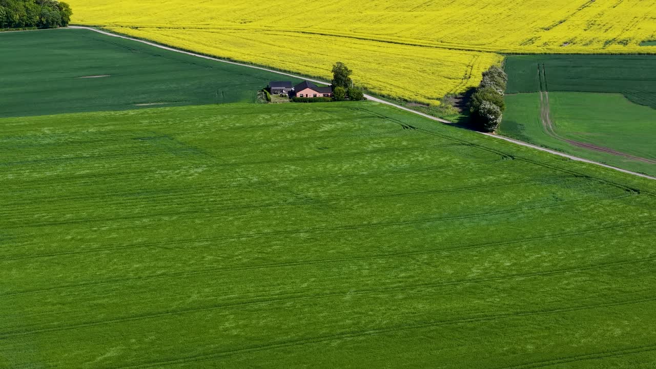 A drone glides over vivid green and yellow farmland with a small house nestled between the fields