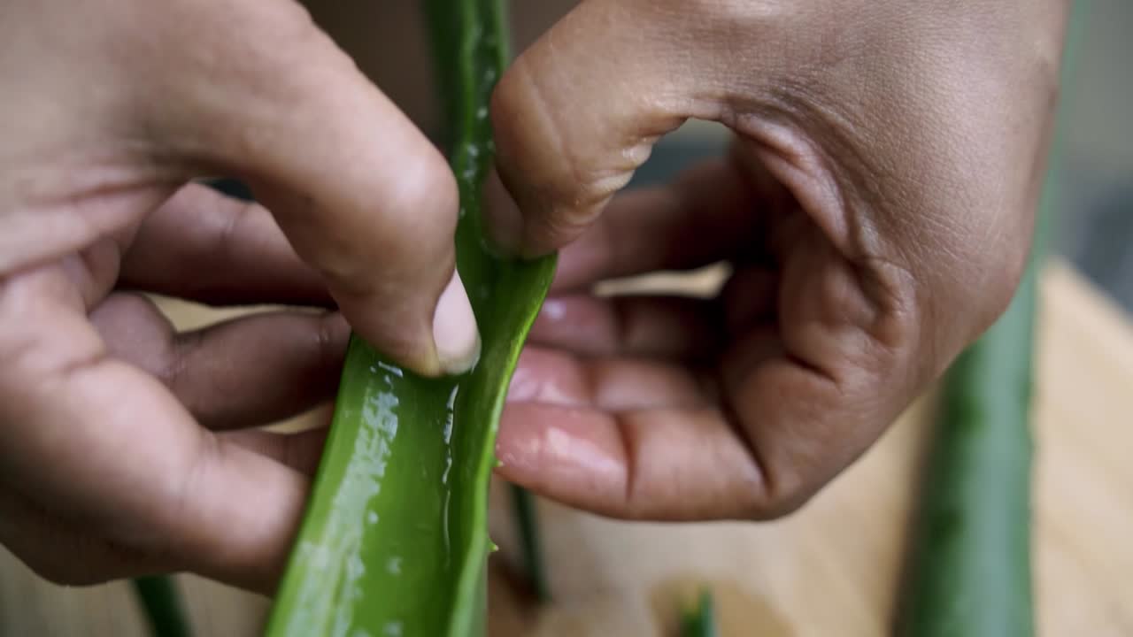 apertura de la hoja de aloe vera que muestra el gel dentro del látex