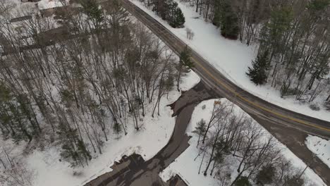 Trees-bare-of-leaves-in-the-dead-of-Winter