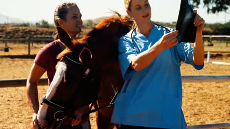 Veterinarian-doctor-and-woman-discussing-over-x-ray-4k