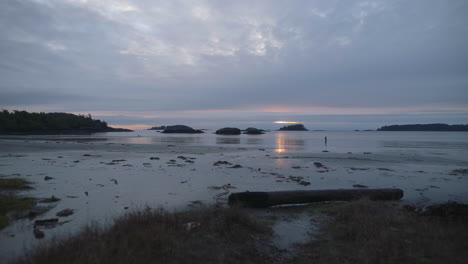 wide shot of an overcast morning on a mackenzie beach in tofino, canada