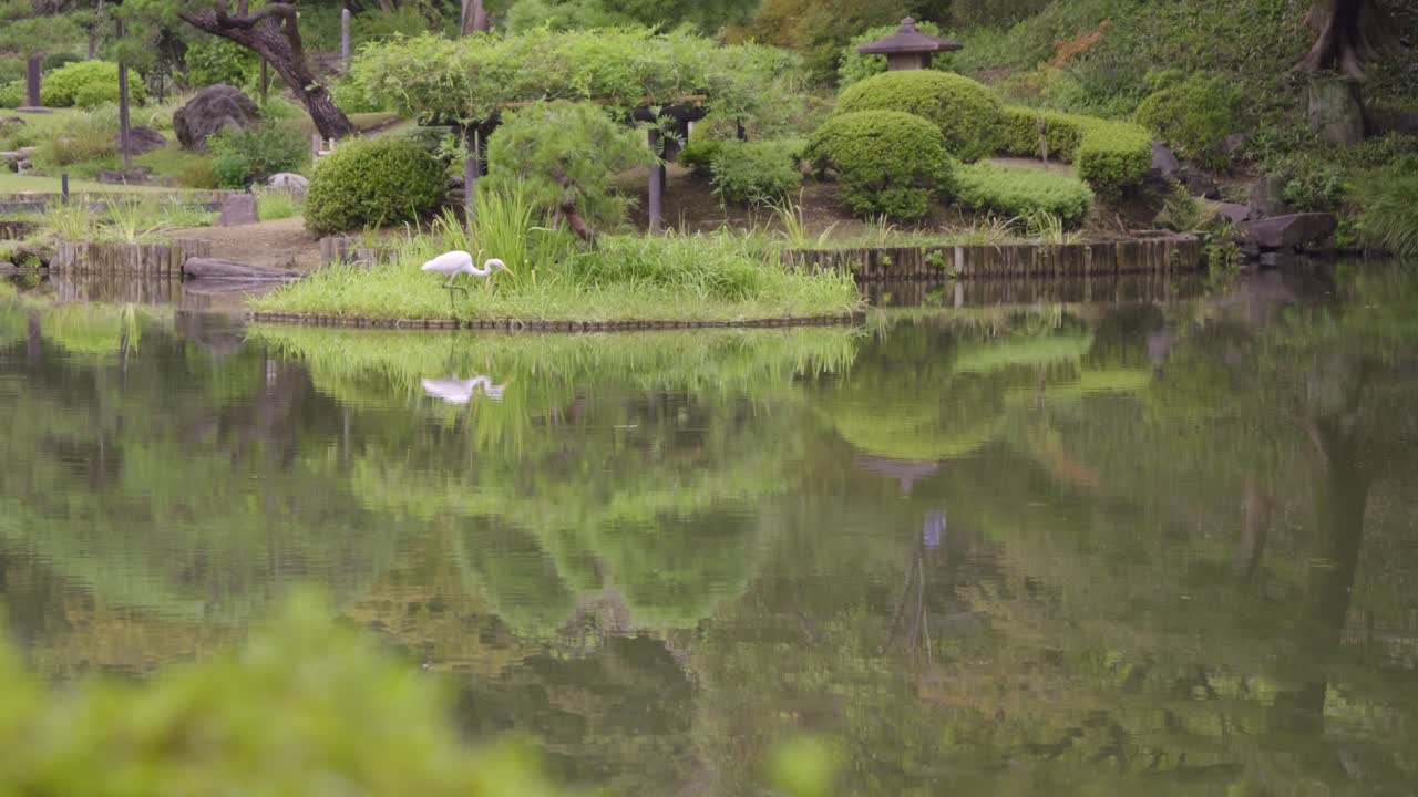Perfect reflections in pond with white crane inside Japanese landscape garden