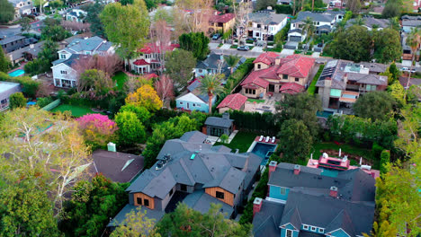 american life: bird’s eye view on suburban neighborhood in los angeles