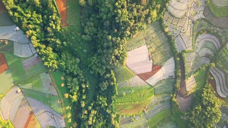 aerial drone view of a vegetable plantation on the slopes of mount sumbing in slightly foggy, central java