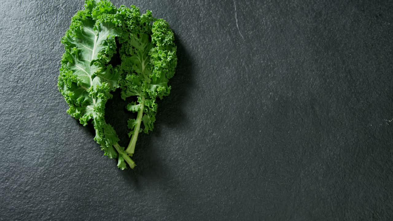 verdura de hoja verde sobre fondo negro 4k