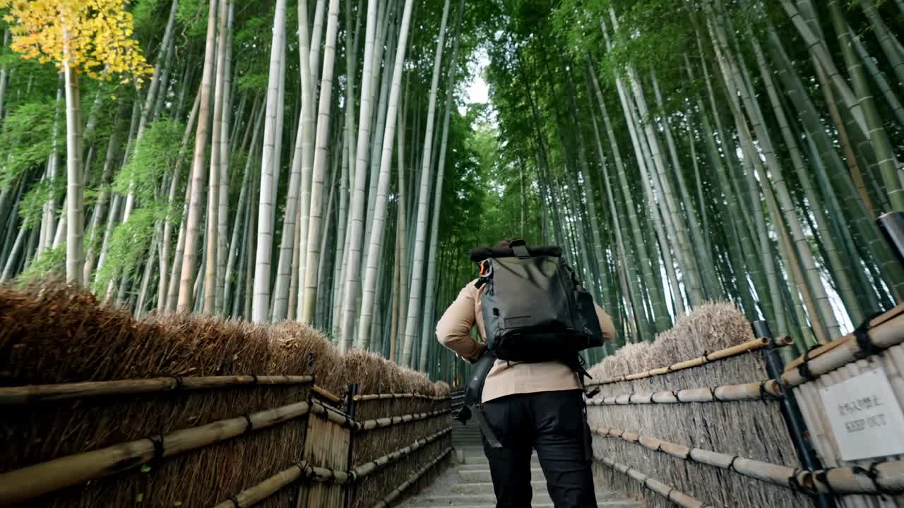 A lone traveler walks along the peaceful path of Arashiyama Bamboo Forest in Kyoto, Japan.