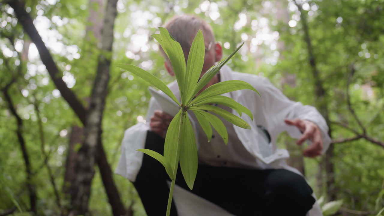 Scientific researcher in white coat holding jotter bending down to observe flower in forest, focusing on plant study using microscope, ecological research, and documentation of natural environment