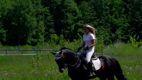 a beautiful girl in white hair and white clothes is riding a black brown stallion. the girl makes the horse perform various beautiful movements. the girl's hair develops in the wind. sunny summer day on a green glade.