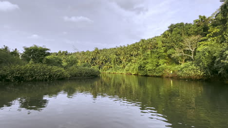 el río saleri rodeado de naturaleza en un día soleado goa india 4k