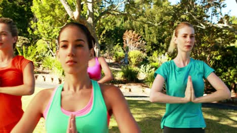 mujeres realizando yoga en el parque
