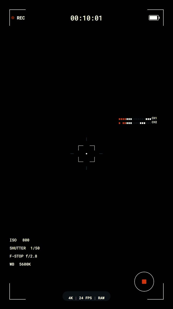 Digital Camera Viewfinder Interface Overlay