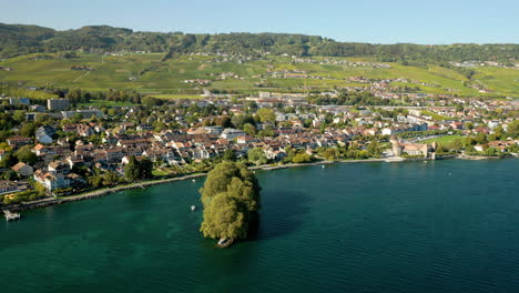 rolle village and castle with a view of la cote vineyard in vaud, switzerland