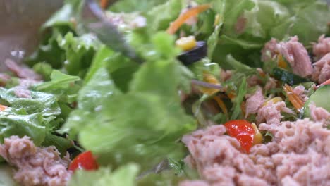 tuna salad with vegetables