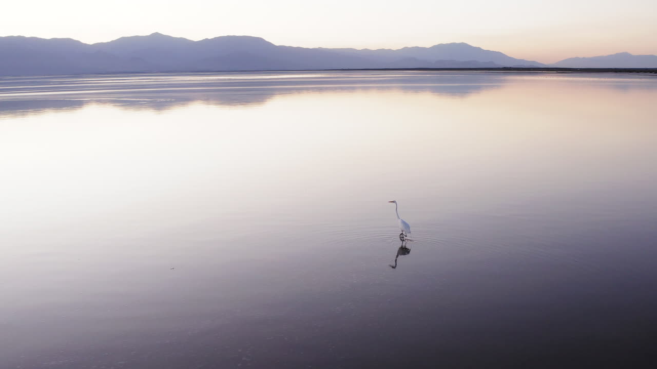 Beautiful aerial-style view of the soft pastel pink and blue colors of a sunset reflecting on the glass-like surface of the Salton Sea, California