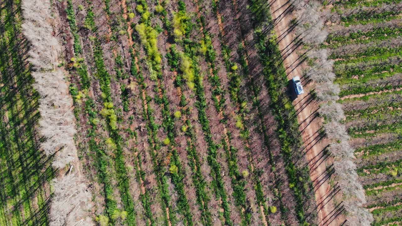 vista aérea de un camión pick-up 4x4 conduciendo en un camino de tierra al lado de viñedos que se acercan a las vías del tren