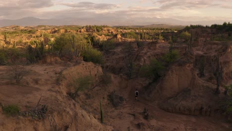 Aerial-flies-Up-and-Backwards-over-the-Tatacoa-Desert,-while-a-person-is-walking-through