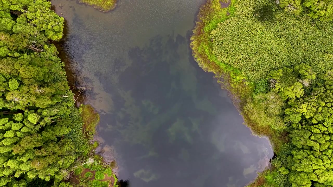 Vista aérea cinematográfica giratoria de arriba hacia abajo del lago y la exuberante vegetación verde en Poço da Ribeira do Ferreiro en las Azores, Portugal.