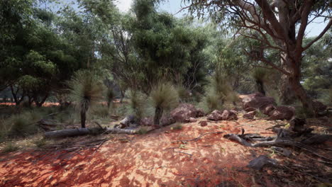 australian outback landscape