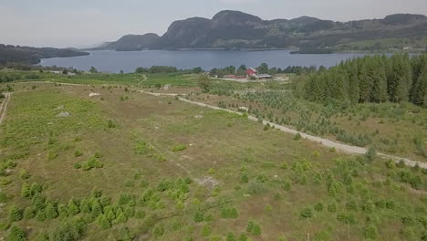 Aerial-View-of-land-filled-with-Christmas-tree-in-strand-norway